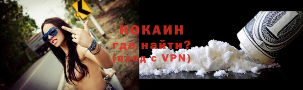 прущие грибы Остров