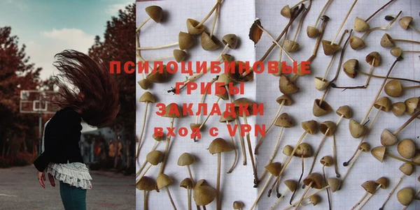 прущие грибы Остров